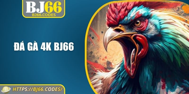 Đá gà 4K BJ66