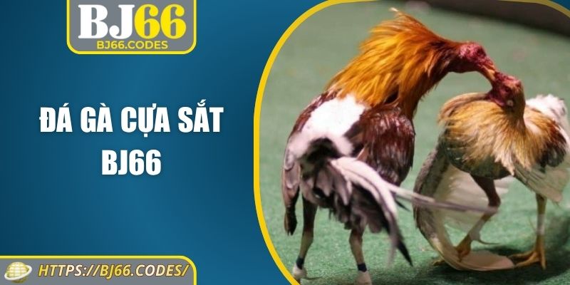 Đá gà cựa sắt BJ66