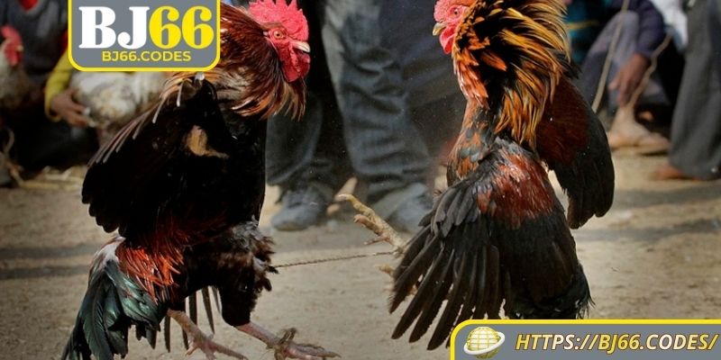 Mẹo nhỏ để luôn nắm chắc phần thắng