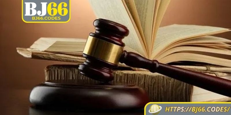 Nội dung cần nắm rõ trong chính sách miễn trừ trách nhiệm BJ66